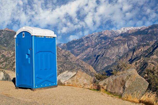 Best Sanitation services for porta potties  in Rockwood, TN